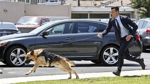 Battle Creek Season 1 Episode 4 - Heirlooms