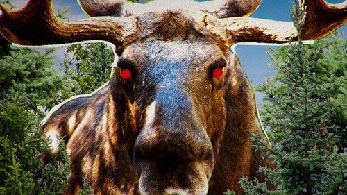 Dis-moi pas!? La petite histoire des mots d'ici Season 1 Episode 1 - Episode 1