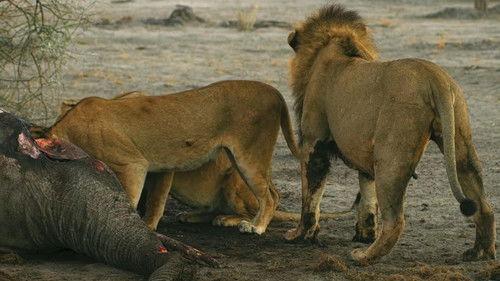 Savage Kingdom Season 4 Episode 3 - Death of a Dream