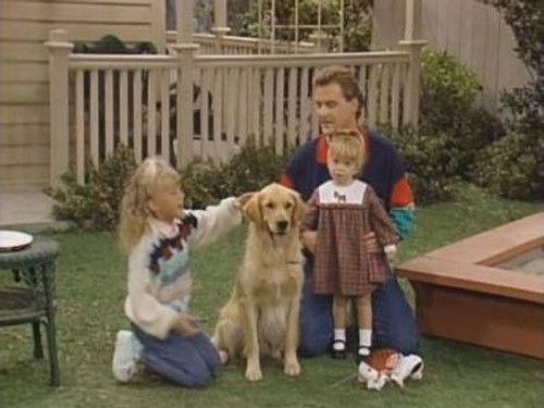 Full House Season 3 Episode 7 - And They Call It Puppy Love