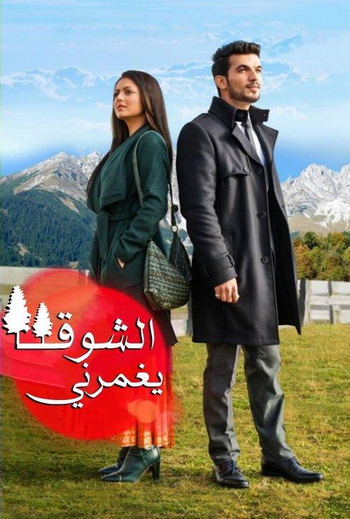 Pardes Mein Hai Mera Dil poster