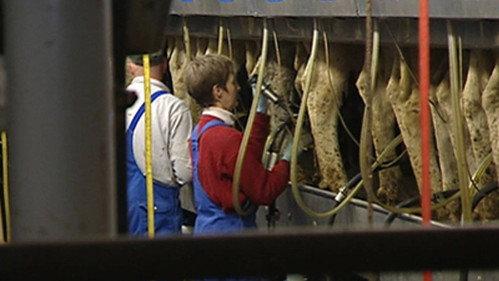 Zembla Season 14 Episode 16 - Karbonade uit de megastal