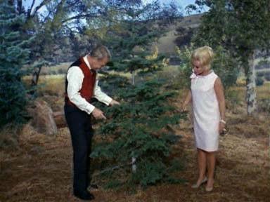 Green Acres Season 2 Episode 13 - An Old Fashioned Christmas