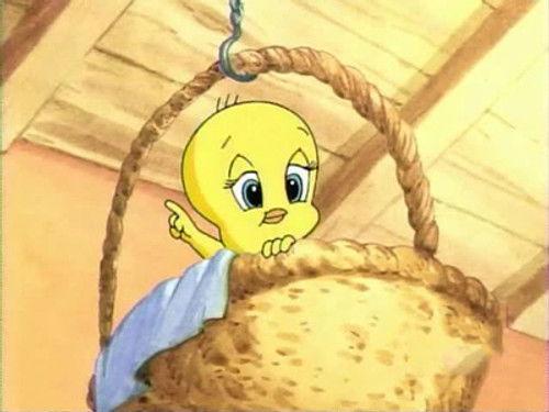 Baby Looney Tunes Season 1 Episode 52 - Cereal Boxing