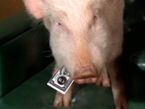 Green Acres Season 3 Episode 20 - Arnold, Boy Hero