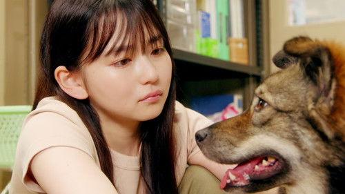 In Lilac Bloom, The Path to a Veterinarian Season 1 Episode 2 - Episode 2