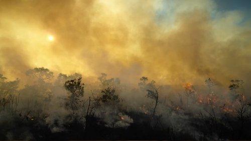 In the Eye of the Storm: The Political Odyssey of Yanis Varoufakis Season 1 Episode 5 - One evolutionary step beyond