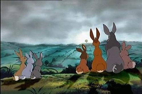 Watership Down Season 1 Episode 1 - The Promised Land