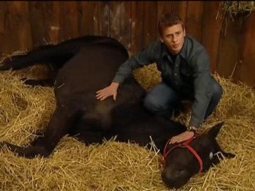 The Saddle Club Season 2 Episode 11 - Running Free (2)