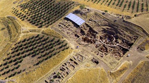 What on Earth? Season 3 Episode 6 - Gateway to Eden