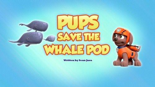 undefined Season 7 Episode 36 - Pups Save the Whale Pod