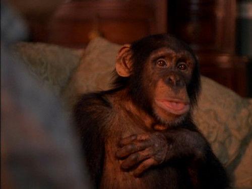 Providence Season 3 Episode 7 - The Thanksgiving Story (2)