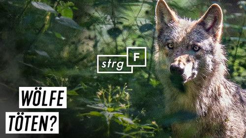 STRG_F Season 1 Episode 23 - Episode 23