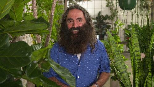 Gardening Australia Season 31 Episode 7 - Episode 7 Hillside Harvest, Keeping Cuttings Moist & Indoor Plants