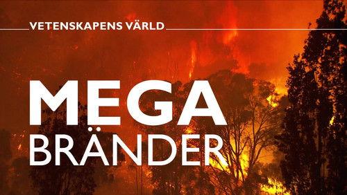 Vetenskapens värld Season 48 Episode 9 - Episode 9