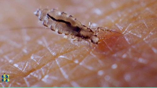 C'est toujours pas sorcier Season 2 Episode 13 - Episode 13