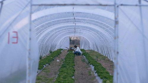 Pano Season 3 Episode 8 - Episode 8