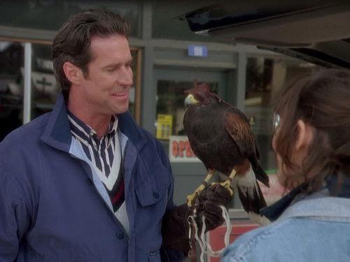 Northern Exposure Season 5 Episode 23 - Blood Ties