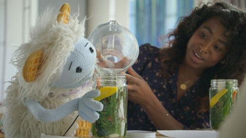 Waffles + Mochi Season 1 Episode 4 - Pickles