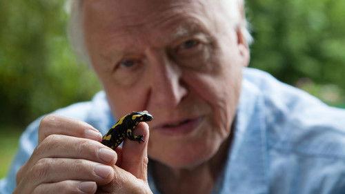 David Attenborough's Natural Curiosities Season 3 Episode 6 - Remarkable Regeneration