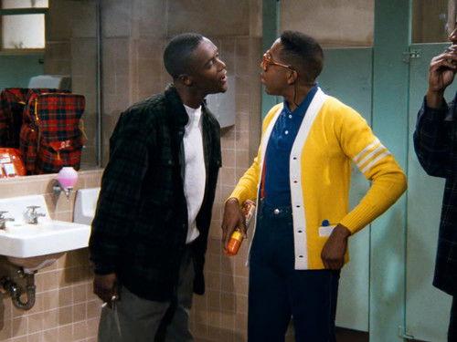 Family Matters Season 6 Episode 13 - An Unlikely Match