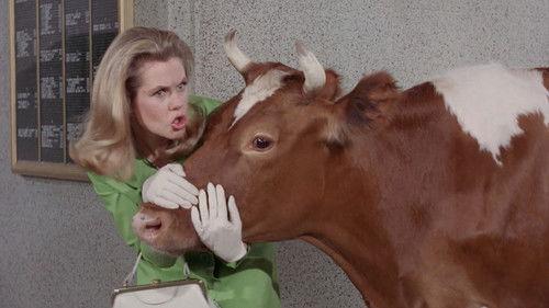 Bewitched Season 3 Episode 20 - The Corn is as High as a Guernsey's Eye