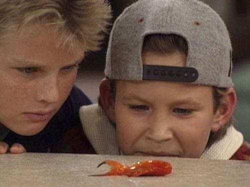 Home Improvement Season 2 Episode 14 - Howard's End