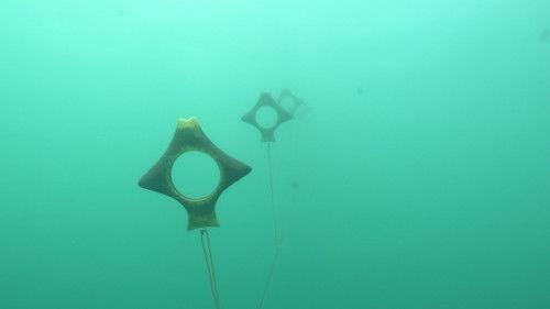 Robinson Season 25 Episode 20 - Episode 20