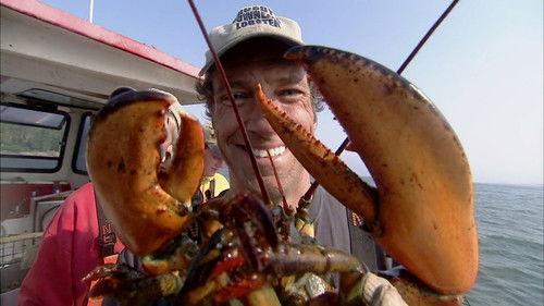 Dirty Jobs Season 2 Episode 17 - Snake Researcher