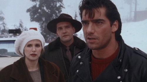 Wiseguy Season 3 Episode 11 - Day Seven