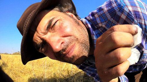 Nature Season 35 Episode 11 - Spy in the Wild: Meet the Spies