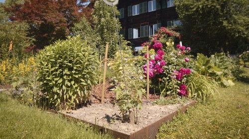 Hinter den Hecken Season 3 Episode 4 - The chalet garden