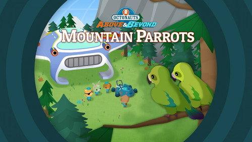Octonauts: Above & Beyond Season 2 Episode 22 - Mountain Parrots