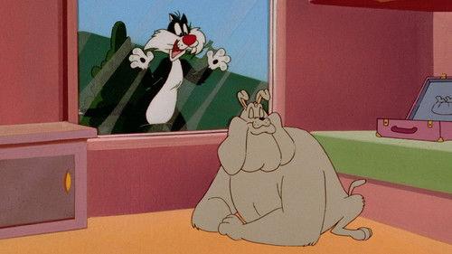 The Sylvester & Tweety Mysteries Season 2 Episode 6 - The Granny Vanishes