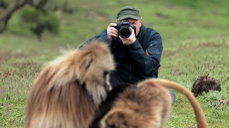 Tales by Light Season 1 Episode 4 - Wild