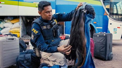 Border Control: Brazil Season 5 Episode 7 - Episode 7