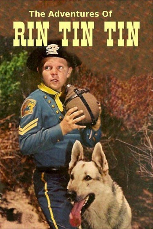 The Adventures of Rin Tin Tin poster