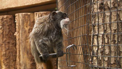 Dyrepasserne Season 7 Episode 12 - Episode 12