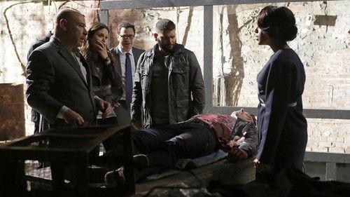 Scandal Season 4 Episode 20 - First Lady Sings the Blues