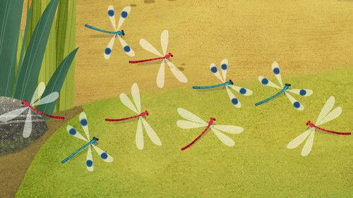 Puffin Rock Season 2 Episode 18 - The Dragonfly Display