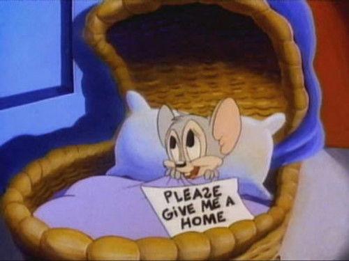 Tiny Toon Adventures Season 1 Episode 11 - Looking Out for the Little Guy