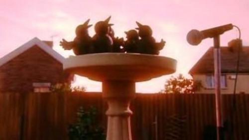 Creature Comforts Season 1 Episode 10 - Being a Bird