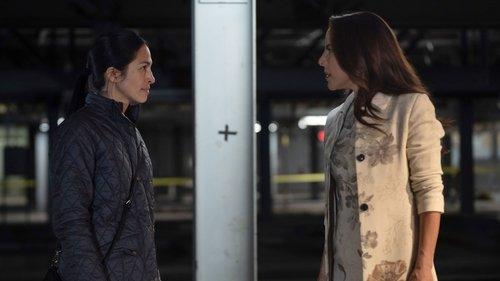 The Cleaning Lady Season 3 Episode 5 - All of Me