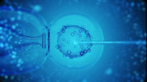 History 101 Season 2 Episode 9 - IVF