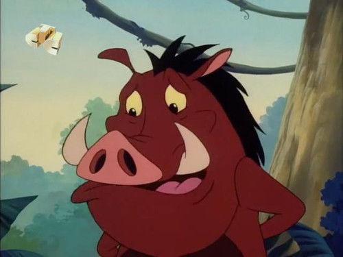 Timon and Pumbaa Season 3 Episode 11 - Catch Me If You Kenya