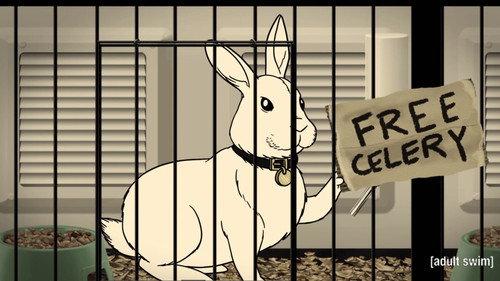 Aqua Teen Hunger Force Season 11 Episode 6 - Rabbit, Not Rabbot
