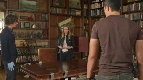 undefined Season 14 Episode 11 - Night Lights