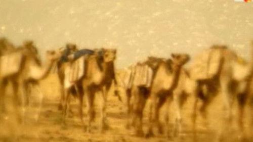 Digging for the Truth Season 4 Episode 7 - Timbuktu