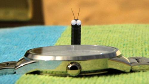 Minuscule: The Private Life of Insects Season 2 Episode 14 - Thievish as a magpie