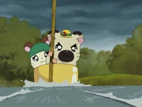 Hamtaro Season 1 Episode 21 - Courage, Cappy!